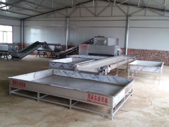 点击查看详细信息<br>标题：萝卜清洗机 阅读次数：2901