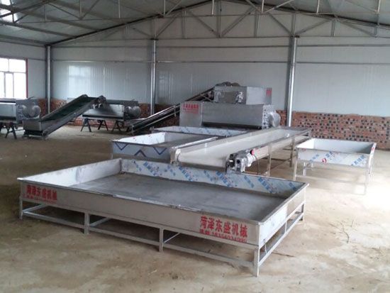 点击查看详细信息<br>标题：萝卜清洗机 阅读次数：3347